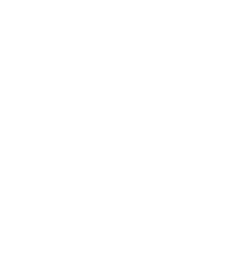 Concierge Security Icon